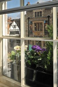 a window with a bunch of flowers in pots at The Old Vine in Winchester