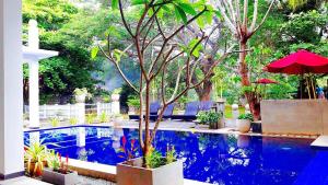 a swimming pool with a tree and an umbrella at Serendib Village Guest House in Negombo