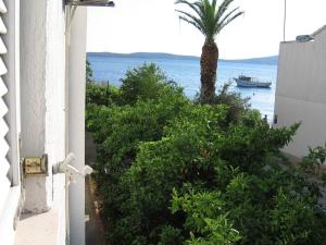 Príroda v okolí apartmánu + 7 fotografií