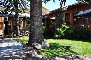 a palm tree in front of a house at Hostal Epu Pewen in Curacautín