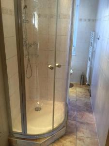 eine Dusche mit Glastür im Bad in der Unterkunft Ferienwohnung in Oberwiesenthal in Kurort Oberwiesenthal