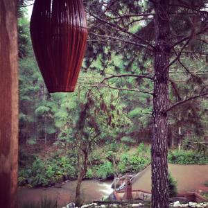 a red lantern hanging from a tree next to a river at Pousada Chalés da Lua in Munhoz