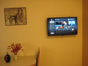 TV i/ili zabavni centar u objektu Gala Apartments