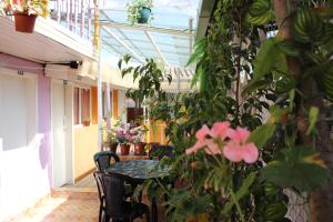 Gallery image of Hostal Yumbo Imperial in Quito