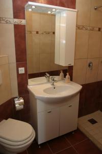 ein Badezimmer mit einem Waschbecken, einem WC und einem Spiegel in der Unterkunft Villa Nelo in Podaca