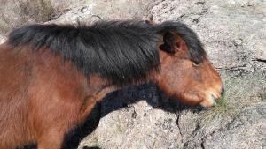 Billede fra billedgalleriet på Moderna do Geres Hotel i Geres