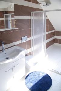 Ванна кімната в Apartment House Timisoara