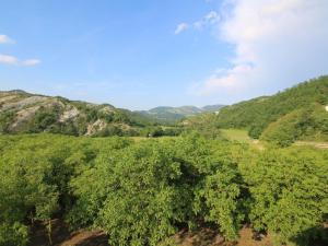 una vista aerea di un campo di alberi di Belvilla by OYO Casa Ginepro ad Apecchio