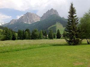 a field with a tree and mountains in the background at Lovely Chalet in Pozza di Fassa with Garden in Pozza di Fassa