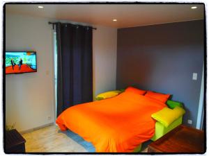 a bedroom with a bed with an orange comforter and a television at Comfy holiday home with terrace in Ellezelles in Ellezelles