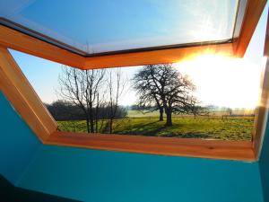 a window with a view of a field and trees at Comfy holiday home with terrace in Ellezelles in Ellezelles