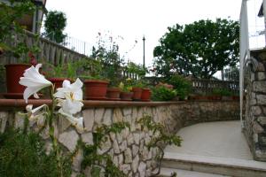 A garden outside B&B La Baia Di Fiascherino citr01101sei-BEB-0011