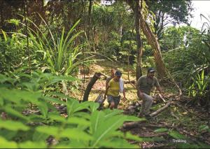 a group of people walking through the forest at The Barefoot At Havelock in Havelock Island