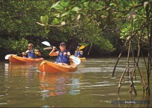 a group of people in kayaks on a river at The Barefoot At Havelock in Havelock Island