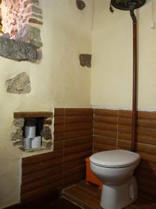 a bathroom with a toilet and a fireplace at Casa Emblemática La Pileta - Doramas in Agüimes