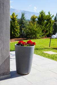 A garden outside Villa Lefteris