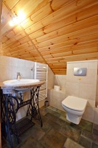 un baño con lavabo e inodoro en Dom Na Rozceściu, en Koniaków 39 fotos más