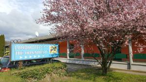 Ogród w obiekcie Fischwirtshaus Landmotel Die Donaurast