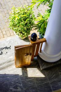 Fotografie z fotogalerie ubytování Sirène Galle Fort v destinaci Galle