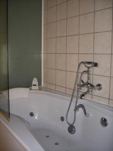 a bath tub in a bathroom with a shower at Hotel Palazio in Nerín