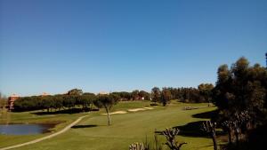 Golf facilities at the holiday home or nearby
