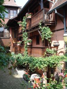 a building with potted plants on the side of it at Hôtel de l'Ange in Niedermorschwihr