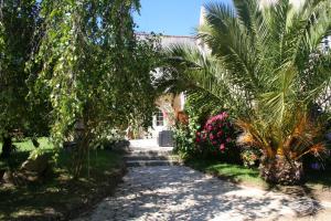 a walkway in front of a house with palm trees at Chez Renée et Raynal B&B in Plounévez-Lochrist