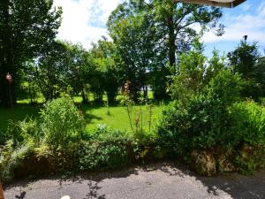 einen Garten mit Büschen und Bäumen auf einem Feld in der Unterkunft Cosy apartment in Bad Bayersoien with balcony in Bayersoien