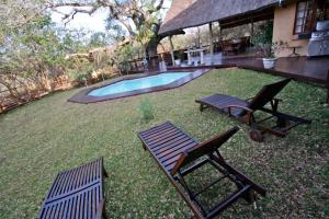 a yard with two chairs and a swimming pool at Needles Lodge in Marloth Park