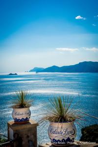 two potted plants sitting on top of a body of water at Calante Luna in Praiano