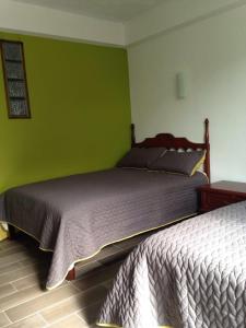 a bedroom with two beds and a green wall at Hotel Flamingos Colima in Colima +1 photo