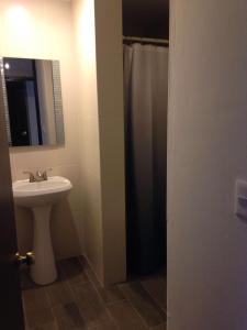 a bathroom with a sink and a shower stall at Hotel Flamingos Colima in Colima