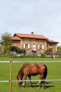a horse grazing in a field in front of a house at Domaine de la Poyat in Légny