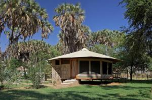 un kiosque dans un champ planté de palmiers dans l'établissement Ashnil Samburu Camp, à Archers Post