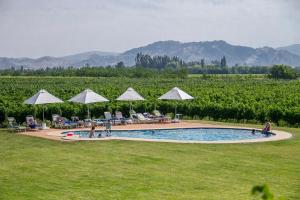 a pool with chairs and umbrellas in a field at Hotel Terraviña in Santa Cruz