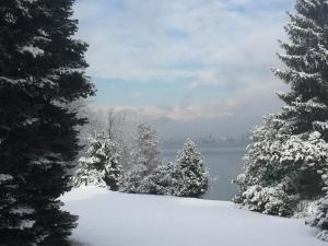 una colina cubierta de nieve con árboles y un cuerpo de agua en Brusisch 1638 Cottage, en Osmate Lentate 9 fotos más