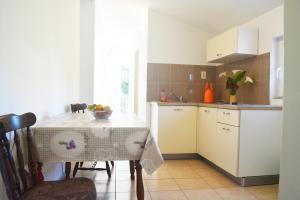 Kuchyňa alebo kuchynka v ubytovaní Marin Apartment