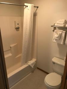 a bathroom with a white toilet and a shower at Harborview Inn in Seward