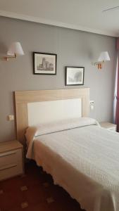 Un dormitorio con una cama y dos cuadros en la pared. en Don Diego, en Ávila