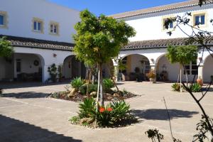Zahrada ubytování Sherryflat Bodega San Blas