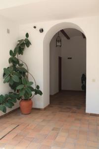 ein leerer Flur mit Topfpflanze in einem Gebäude in der Unterkunft Hotel El Coloso in Jerez de la Frontera