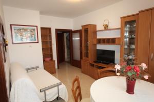 Un televizor și/sau centru de divertisment la Cres Sučić Apartments