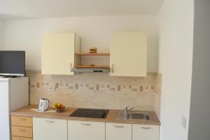 Kuchyňa alebo kuchynka v ubytovaní Marin Apartment