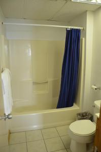 baño con aseo y cortina de ducha azul en Sea Cove Motel Ocean City, en Ocean City 19 fotos más