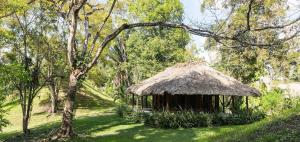 Zahrada ubytování Chan Chich Lodge
