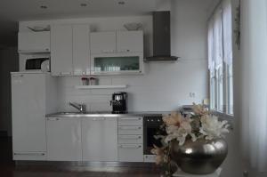 Kuchyň nebo kuchyňský kout v ubytování Luxury Apartments Zana