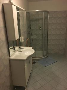 La salle de bains est pourvue d'un lavabo et d'une douche. dans l'établissement Guest house Okrepčevalnica Zemonska vaga, à Ilirska Bistrica