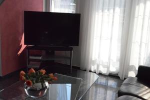 TV a/nebo společenská místnost v ubytování Luxury Apartments Zana