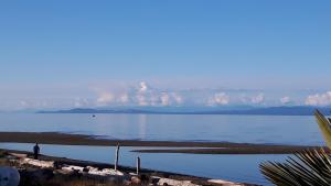 Buena Vista by the Sea