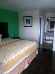 a bedroom with a bed with a green wall at Budget Inn in Sedalia